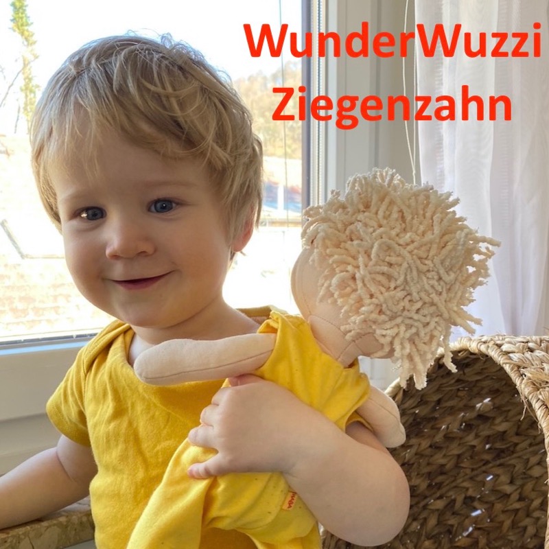 Mehr über den Artikel erfahren WWZ